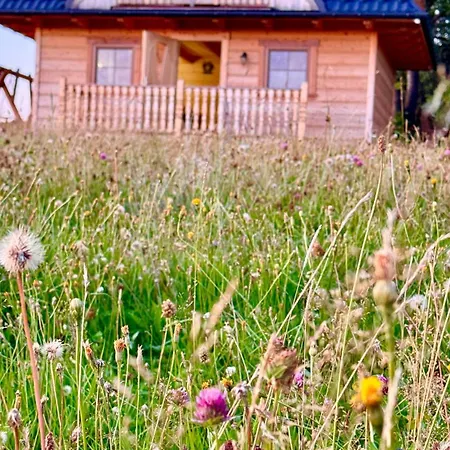 Lejlighed Styry Pory Roku *