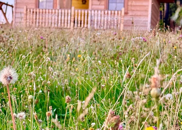 شقة Styry Pory Roku *